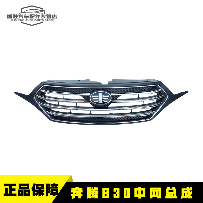 Решетка радиатора переднего бампера для Zotye (Galop) B30