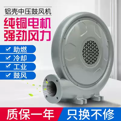 Wood 250W550W kitchen centrifugal stove boiler blower aluminum shell medium pressure fan 220v380V powerful
