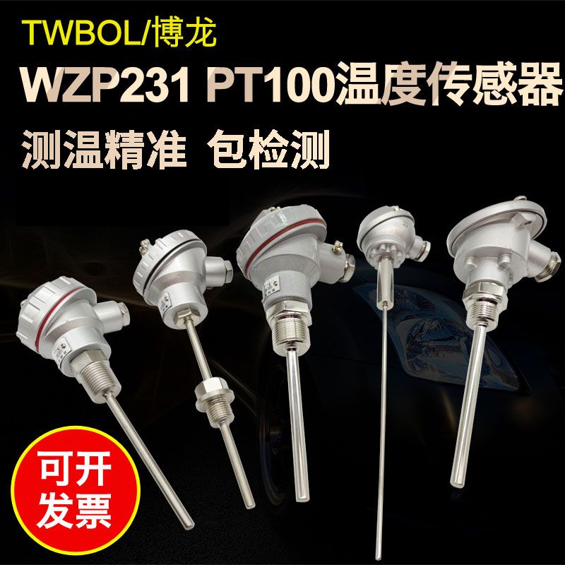 Thermal resistance PT100 Temperature sensor Taiwan Boron platinum Thermal resistance K-type thermocouple WZP-231 armoured puppet