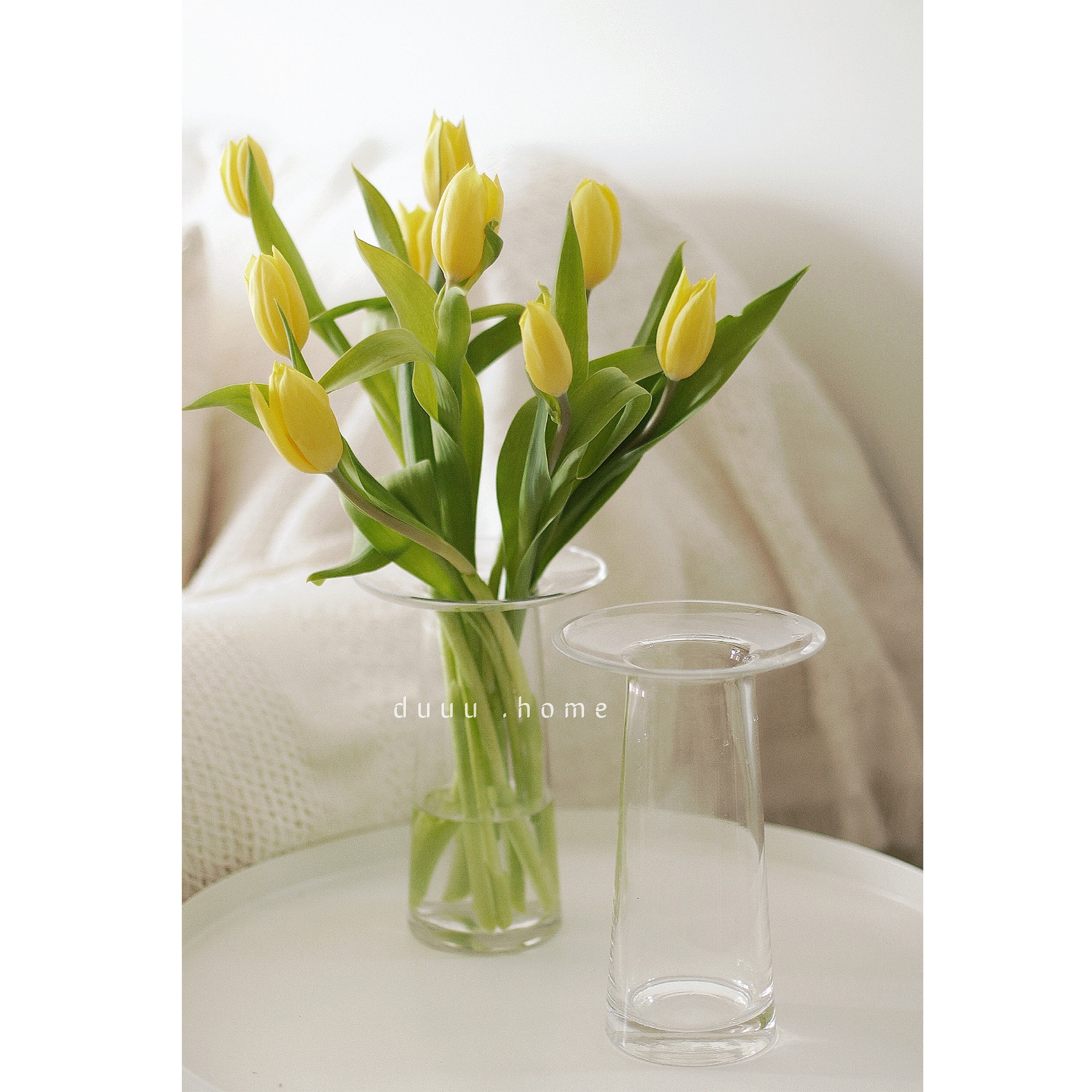 ins the same vase Korean net red home design decoration shooting props flower vase simple flying saucer bottle