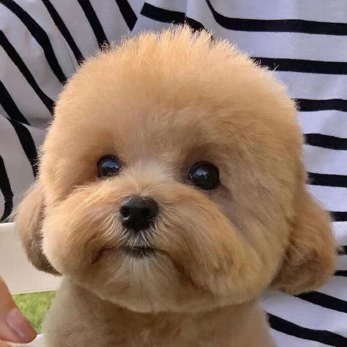 金沙滩海鲜的小店