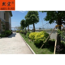 2021 ~ 9 fastening windproof city buckle Sub-belt gardening Garden Agricultural Ringer Courtyard Fixed Trees bracket Gong