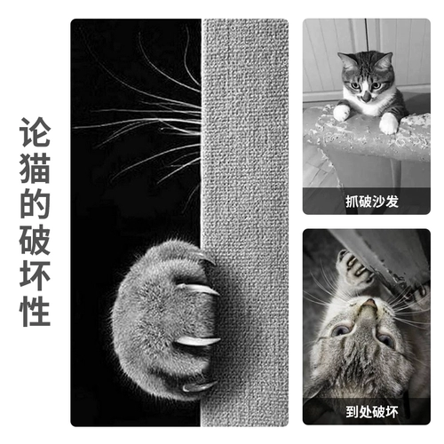 Защитный диван, пластырь на стену, кот