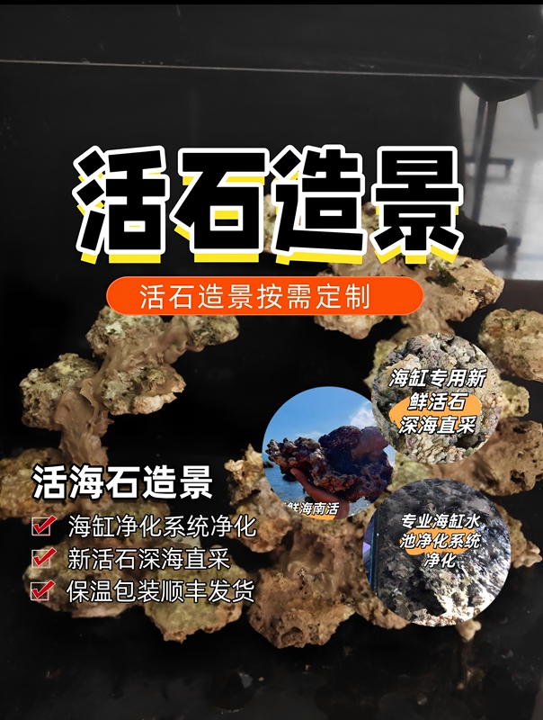 Javanese Stone for Aquarium Landscaping, High-Calcium Deep-Sea Live Stone, Algae-Free Live Stone for Landscaping, Small Aquarium Landscaping, Floating Landscaping Stone Javanese Stone for Aquarium Landscaping, High-Calcium Deep-Sea Live Stone, Algae-Free Live Stone for Landscaping, Small Aquarium Landscaping, Floating Landscaping Stone