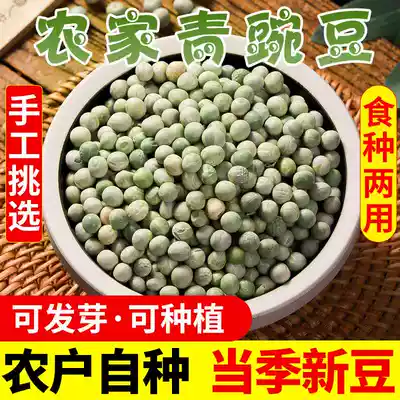 (Take 2 copies to send a catty) Farmhouse fresh green and dried peas, green peas, dry goods, miscellaneous grains, wheat beans, 2 catties