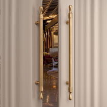 Light luxury minimalist glass door handle stainless steel box shop double door door handle installed solid wood door handle