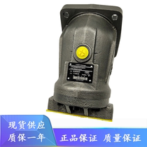 Replacement Rexroth A2FM63 61W-AB010 AB020 AB040 BB010 BB020 Piston pump