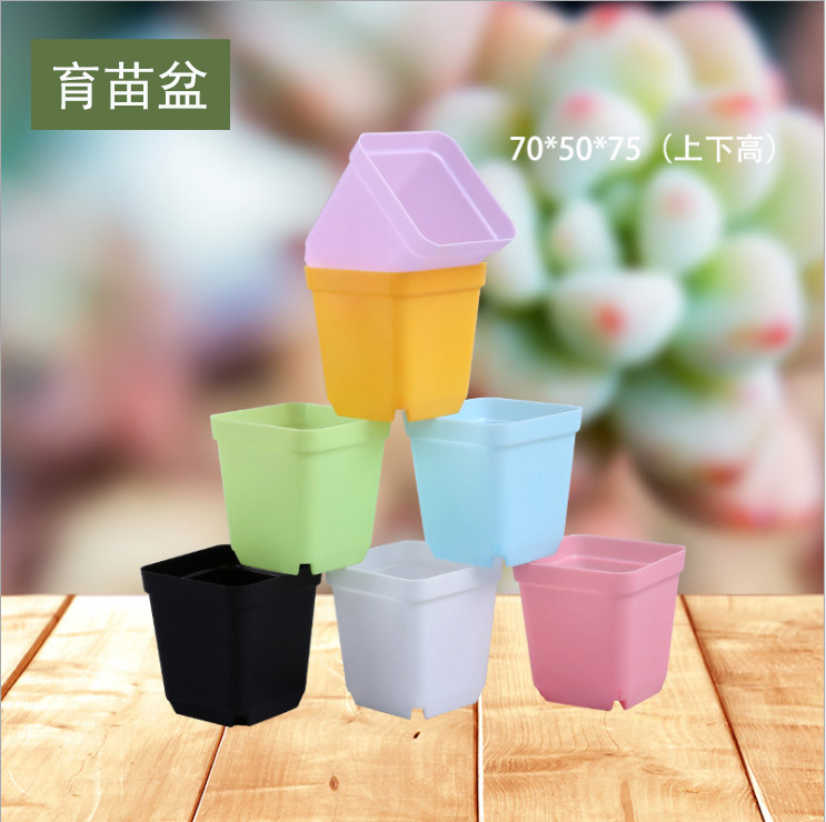 Succulent seedling pot colored plastic 7×7 small square pot seven-inch thickened small flower pot mini square seedling pot simple