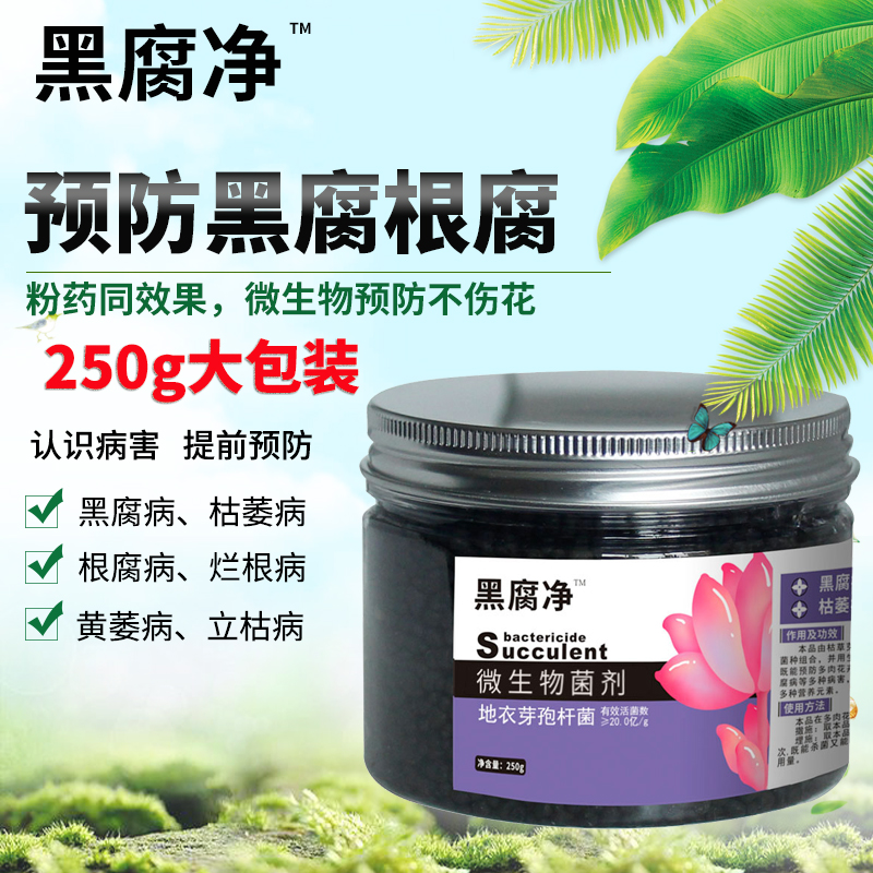 Black Rot Net Flowers Multimeat Black Rot Root Rot Withering Disease One Sprinkle Net Microbial Grain Domestic Flower Powder Medicine