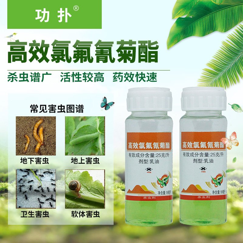 25g of high-efficiency cyhalothrin rapae insecticide