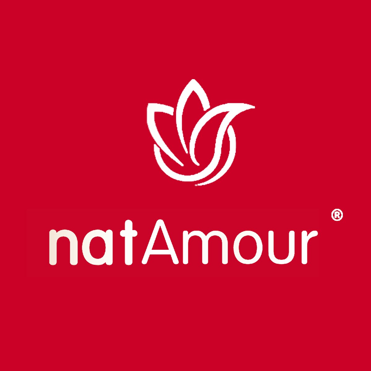 natAmour娜塔慕海外旗舰店的LOGO