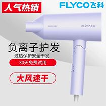 Xinjiang Spot Flying Coco Household Negative Ion Electric Hair Dryer Hotel Special Windy Rate Hot And Cold Hair Care Hair
