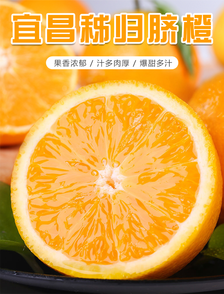 屈原橘颂原型 正宗秭归脐橙 3斤 图2