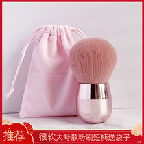 AIEVELYN LARGE Powder Cake Bulk Powder Brushed Fluffy Soft Hair Full Face Makeup Honey Powder Brushed Portable Short Handle An