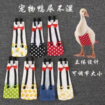 Chicken goose duck Cole duck clothes pet duck diaper prevent disorderly shit pick up duck ass clothes