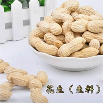 Squirrel Harden Killer Kitty Xiao Xiao Xiao - tai food food supplies for high quality raw raw raw raw peanut 100g snack food feed