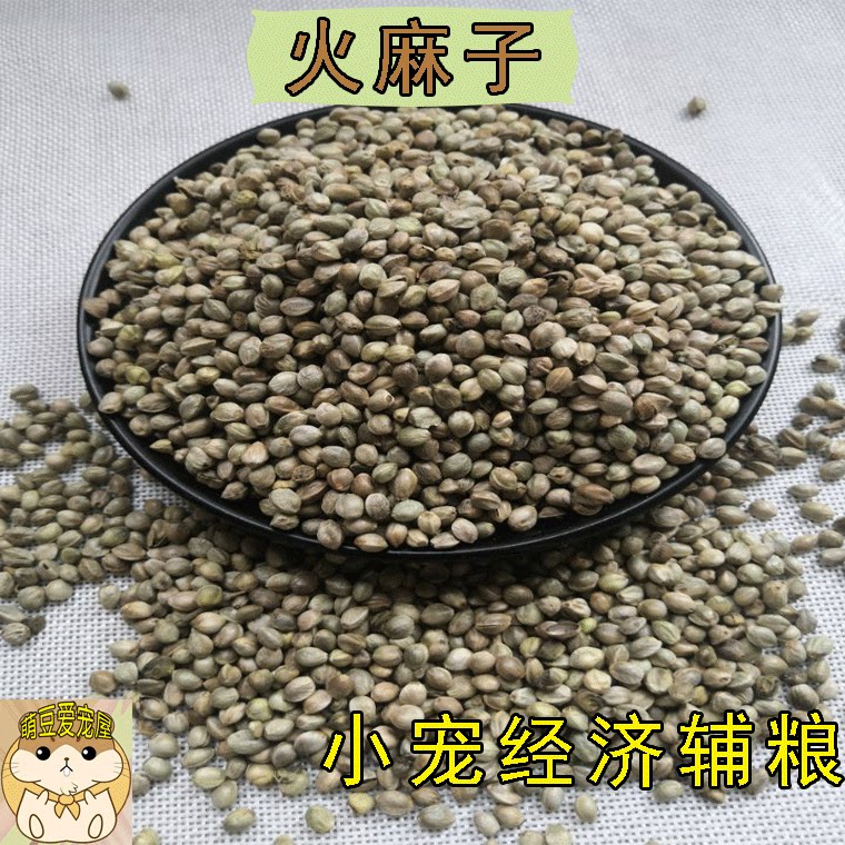 Squirrel Hamster Snow Flying Squirrel Parrot Eating Raw Grain Feed Food Granular Hemp Seed Supplements - Taobao