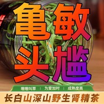 Kidney Essence Tea Golden Grass is called the specialty of Northeast Changbai Mountain Wild Kidney Grass Fine Fossil Grass Shiweiwei Grass