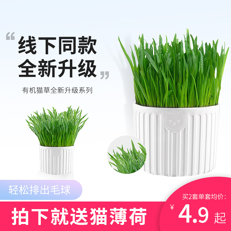 Cat Grass Kitty Supplies Water Bacon Cat Mint Nutritional Soil Planting Suit Sweater Grass Seed Removal of Mao Ball Cat Snacks