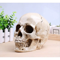 Античный белый (один -встроенный) интегрирован)