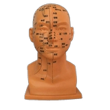 Универсальное физиологичное иглоукалывание, манекен головы для лица, массажер, обучение