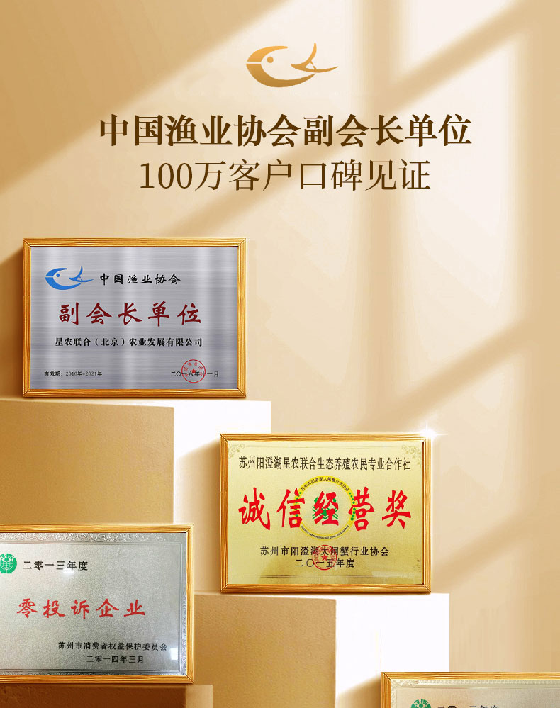 天猫超市定制 星农联合 大闸蟹礼券 公蟹3.5两+母蟹2.5两 共8只 图5