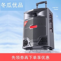 Outdoor audio 2021 live broadcast dedicated high-end karaoke equipment speaker super sound Bluetooth new high volume