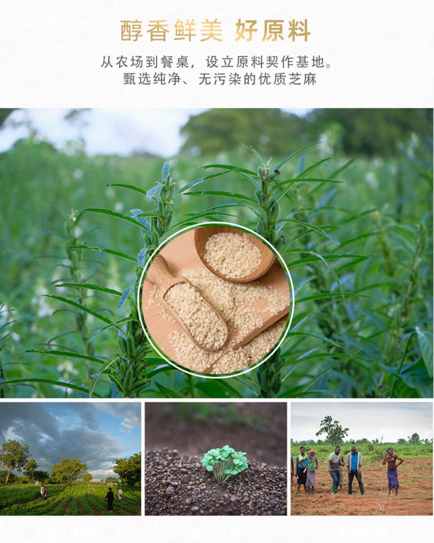 【富味乡】高钙黑芝麻涂抹酱