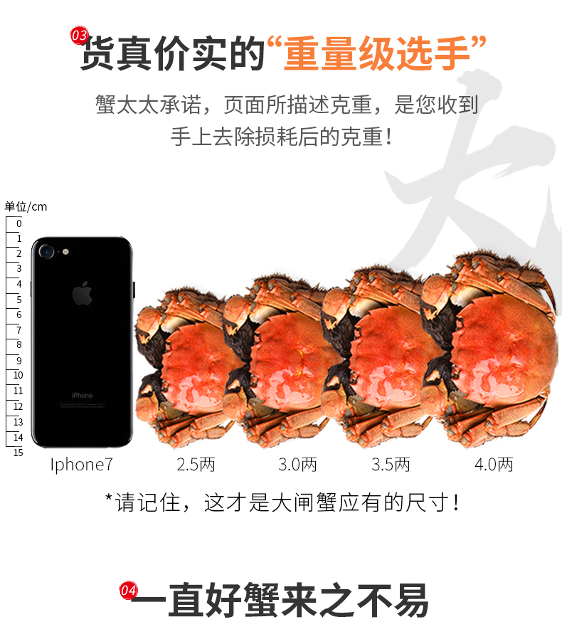 天猫超市定制 蟹太太 3688型大闸蟹礼券 公蟹3.5两+母蟹2.5两 共8只 图6