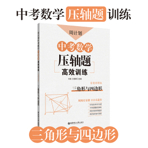【新华书店旗舰店官网】正版包邮 中考数学压轴题高效训练(三角形与四边形答案详解版)/周计划