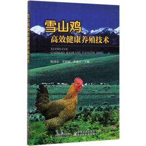 雪山鸡高效健康养殖技术