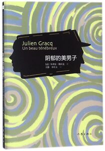 阴郁的美男子(精)