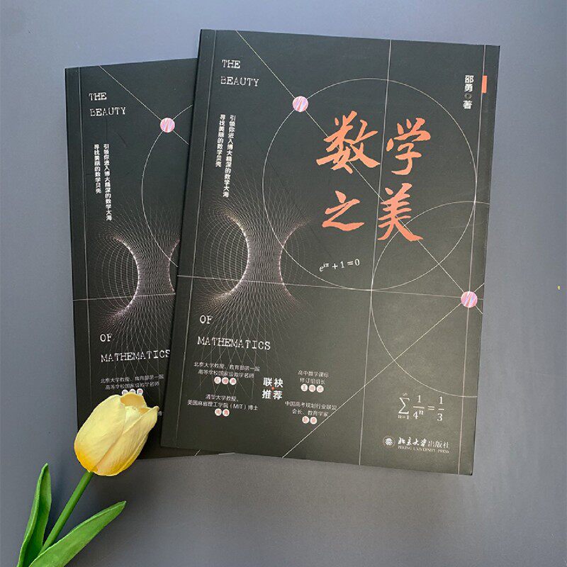📚数学之美:邵勇著带你解锁数学新世界!🌈-科普读物其它-淘宝好物网