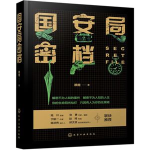 国安局密档(精)