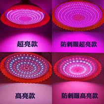 Increase led fresh light pork light fruit light to illuminate fresh meat light cooked food market supermarket light night market stall red light