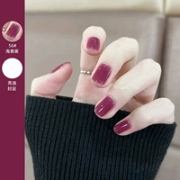 56# Морский анемон фиолетовый + глянцевый масляный уплотнение