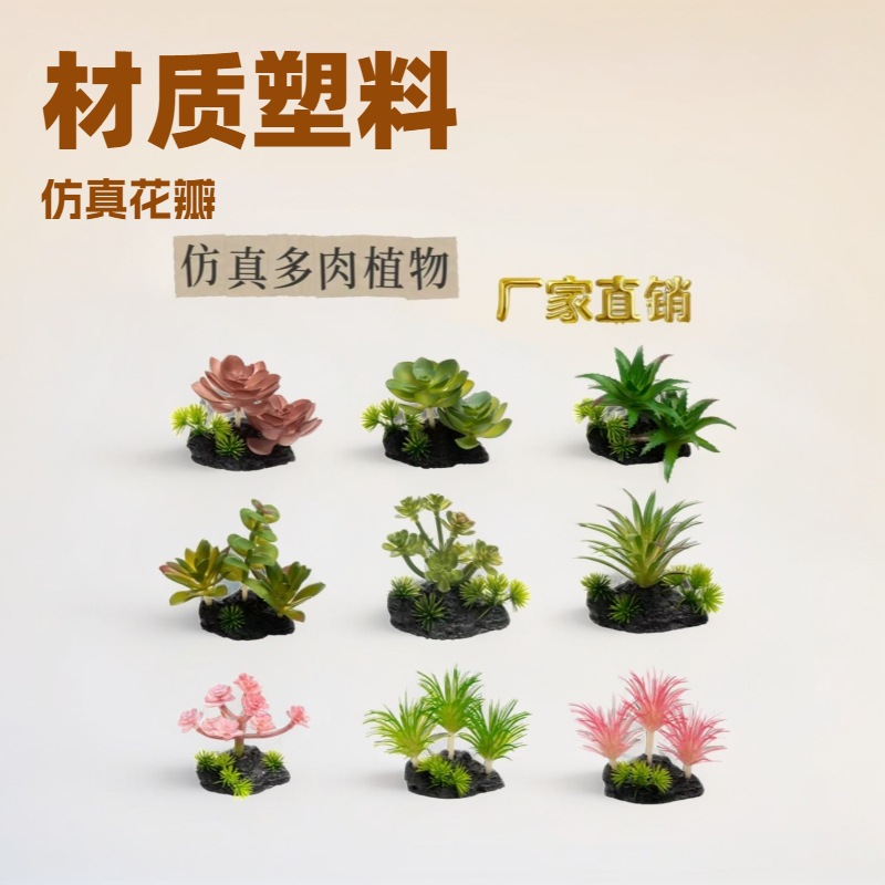 鱼缸里的微缩仙境：仿真多肉植物装饰艺术