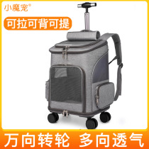 Small Magic Pamby Cat Bag Outside Portable Pull Bar Case Outside With Pets Double Shoulder Bag Big Cat Kitty Backpack Dog Travel Supplies