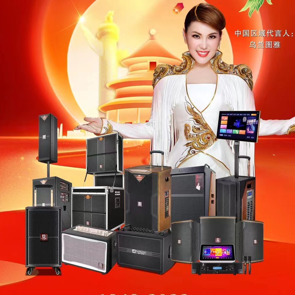 广东曼龙音响