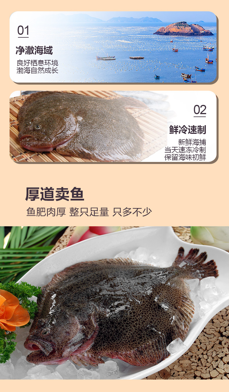 绅迪佳 海捕鲜冻多宝鱼 1斤1条 天猫优惠券折后￥15.9包邮（￥25.9-10）