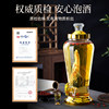 High-End Sealed Glass Bottle for Making Wine at Home, Ginseng Medicinal Wine Jar with Spout, Special Container for Brewing