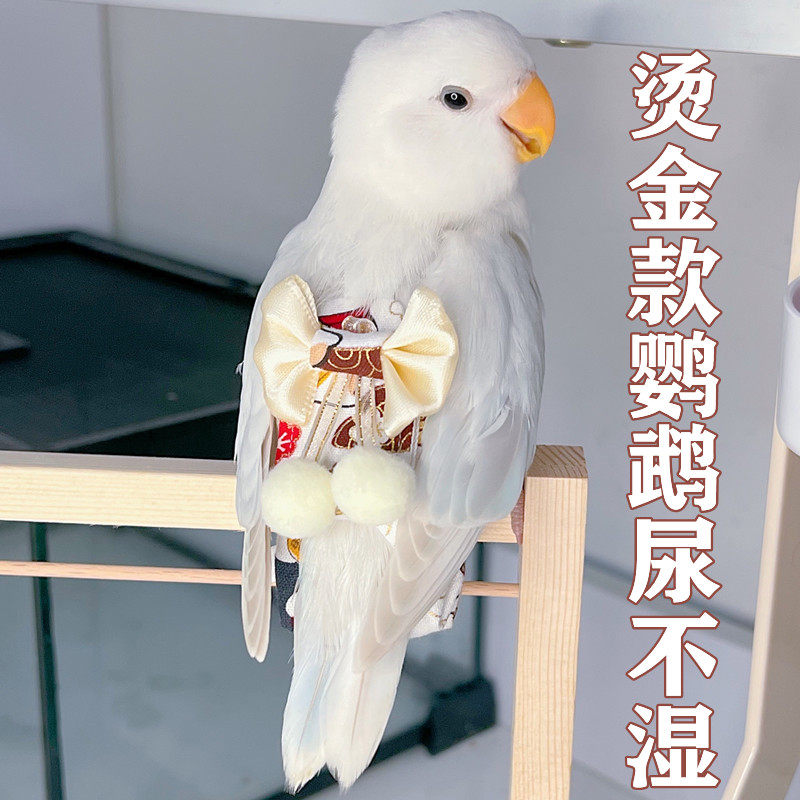 Parrot Bird Shit Pocket Urine No Wet Clothes Tiger Leather Peony gold Anchow paper diaper diaper not wet ass Ass Pocket-Taobao