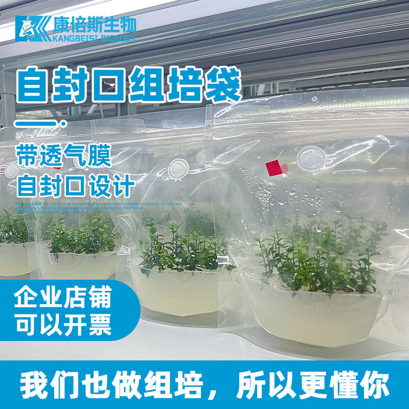 无菌耐高温塑料组培袋含透气膜高透光自封可立式培养袋子加厚抗皱