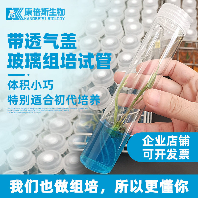 耐高温灭菌组培试管玻璃组培瓶瓶透气盖培养瓶无菌材料培养基试剂