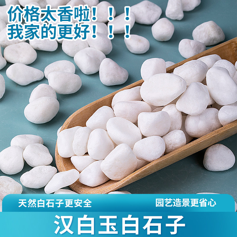 如何挑选适合鱼缸的彩色鹅卵石？