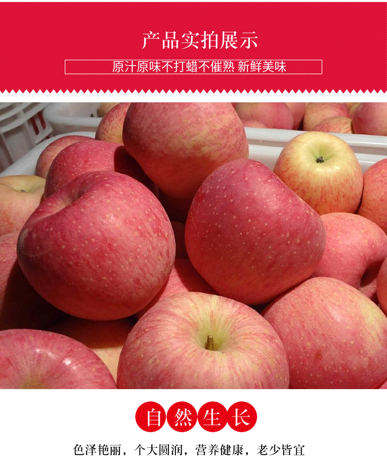 红富士栖霞苹果*5斤 图4