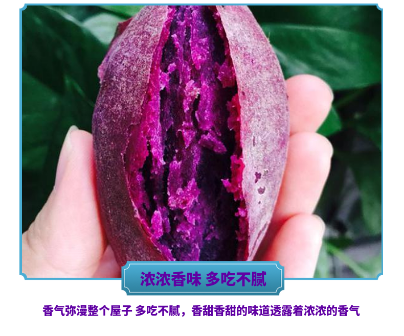 【炳天旗舰店】鲜紫薯板栗紫薯5斤