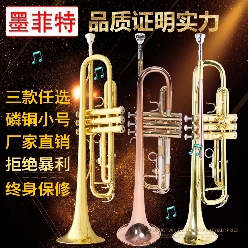 Murphy's downfall B minor instrument Instruments Lacquer Gold Phosphorus Copper Entry white Bronze Tone Tube Nickel-plated Nickel Small beginner test examination