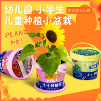 Primary School Kindergarten Baby Children Planting Small Potted Plants Growth Observation DIY Mini Planting Gift