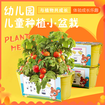 Small flower growers children plant potted mini diy plants grow canned seeds germination observation kindergarten self-planting